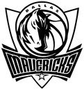 dallas mavericks careers|91 Dallas Mavericks Jobs in United States (2 new) .